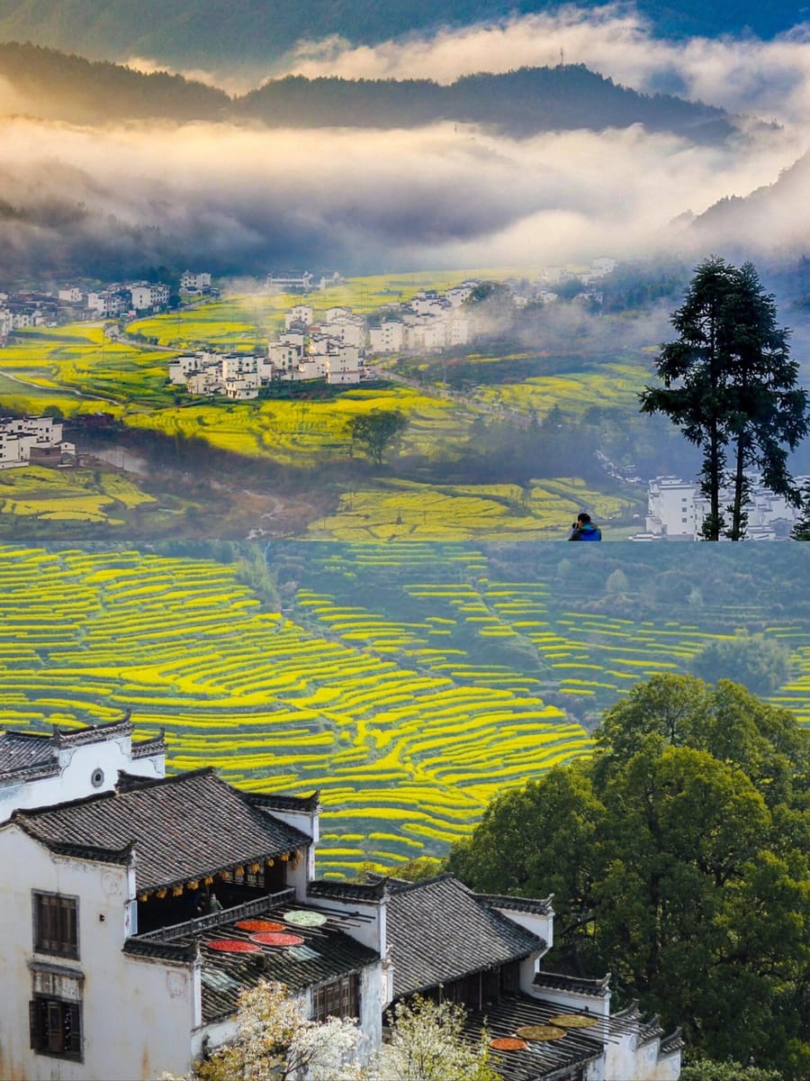 婺源篁岭(Wuyuan Huangling)