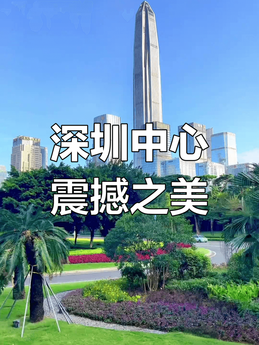 深圳市(Shenzhen) 3