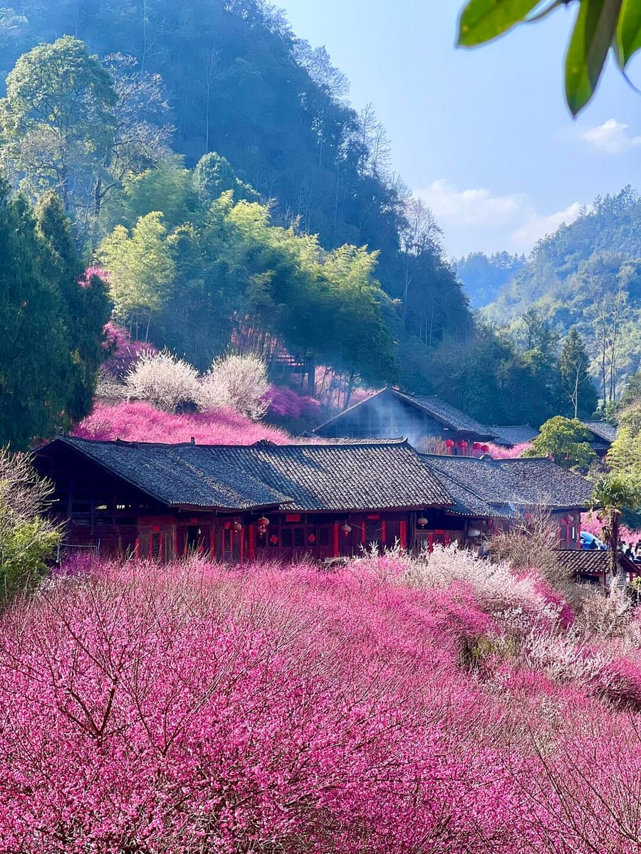 陈家坡(Chenjiapo Village)