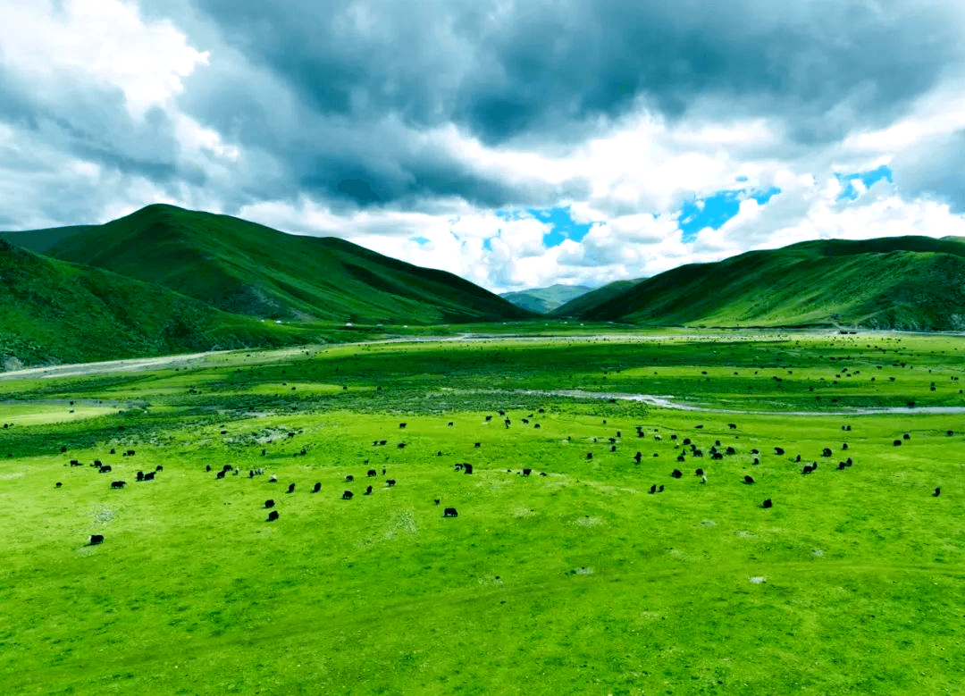 理塘草原(Litang Grassland) 3