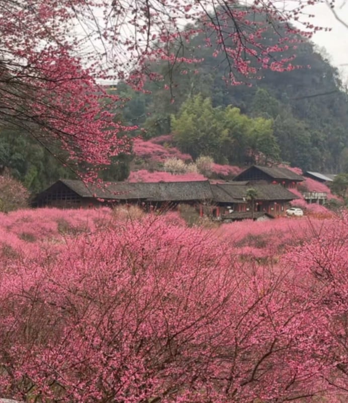 📍 Yongshun Hunan #chinatravel #meetchina #exploretheworld #travel #hiking