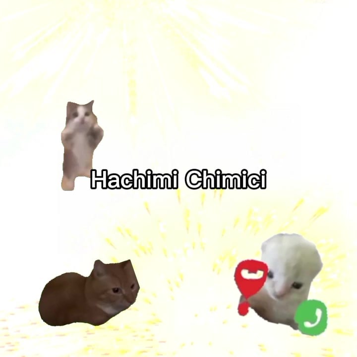 hachimi chimici #fyp #masukberanda #fyppppppppppppppppppppppp #lyrics #hachimi