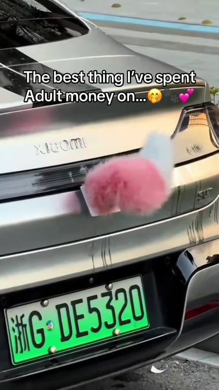 Tag someone who needs this 😭🐈⬛ #viral #fyp #car #furry