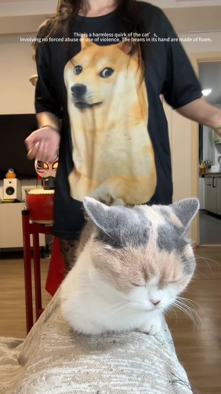For those interested in science popularization, this is a quirk of cats. They are not forced into th