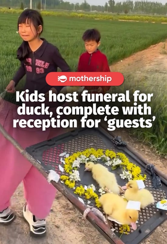 Rest in peace duck 🙏 #mothershipabroad #fyp #china #duck